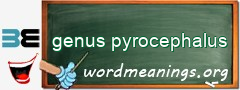 WordMeaning blackboard for genus pyrocephalus